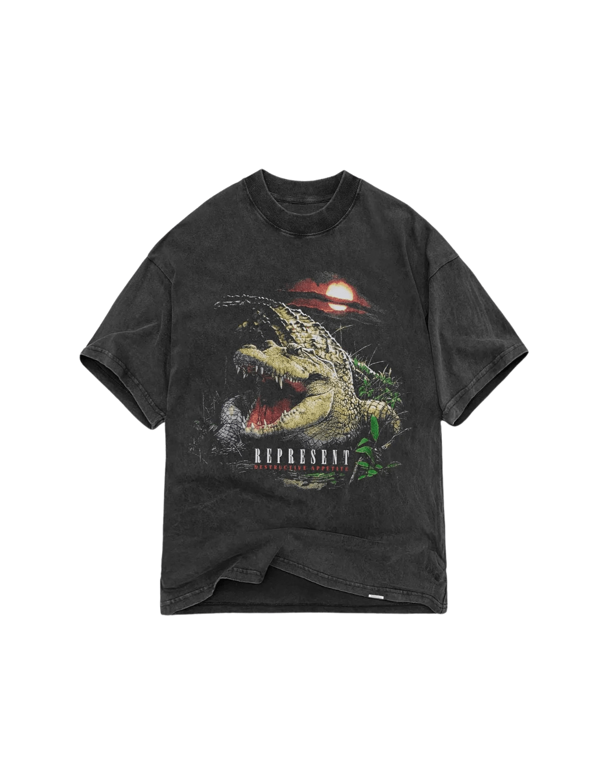 Camiseta Represent Clo Destructive Appetite Vintage Grey Cinza
