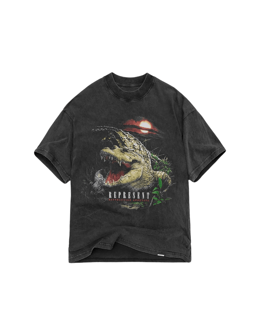 Camiseta Represent Clo Destructive Appetite Vintage Grey Cinza em cinza original na LK Sneakers
