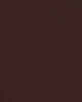 Vista frontal Camiseta Skims Fits Everybody Cocoa Marrom