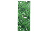 Vista na caixa Chinelo Havaianas Top Dolce & Gabbana Banano Verde