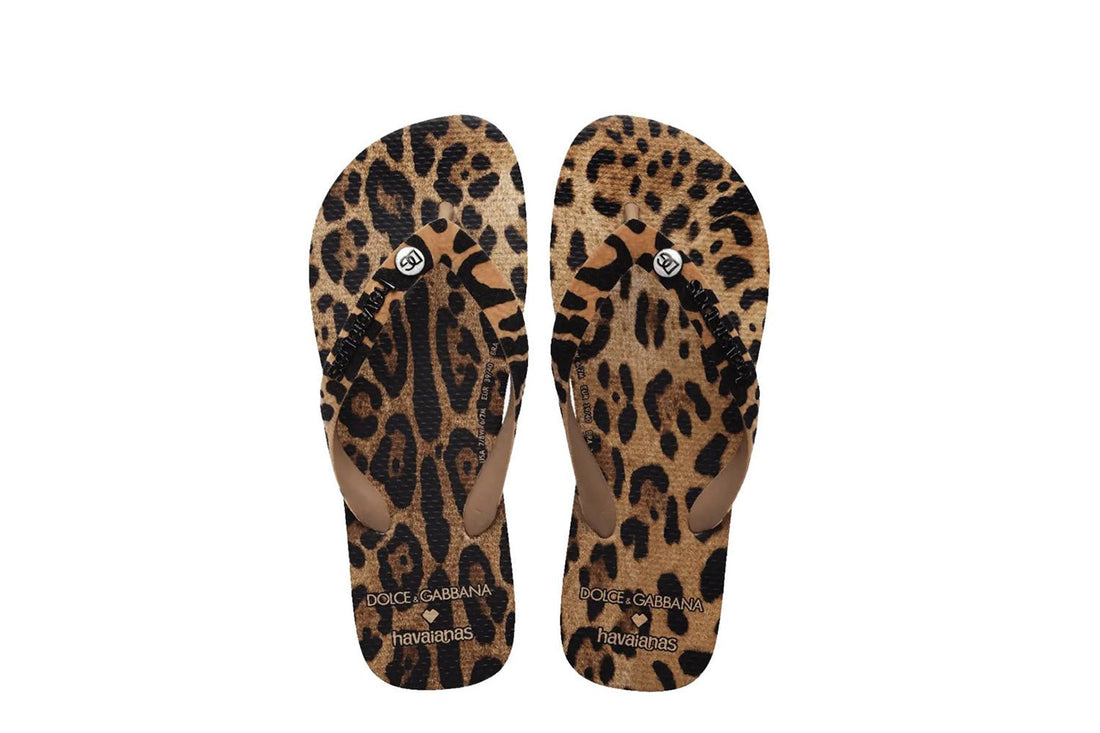 Chinelo Havaianas x Dolce & Gabanna Leopard Marrom - Havaianas - 41499223581