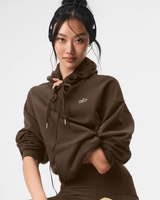 Moletom Alo Yoga Accolade - Moletom - Alo Yoga - w3550rg - 2