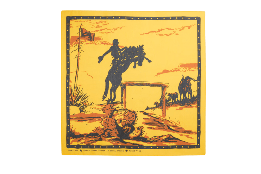 Vista na caixa Nike Dunk SB Dunk Low QS BHM Rodeo Verde