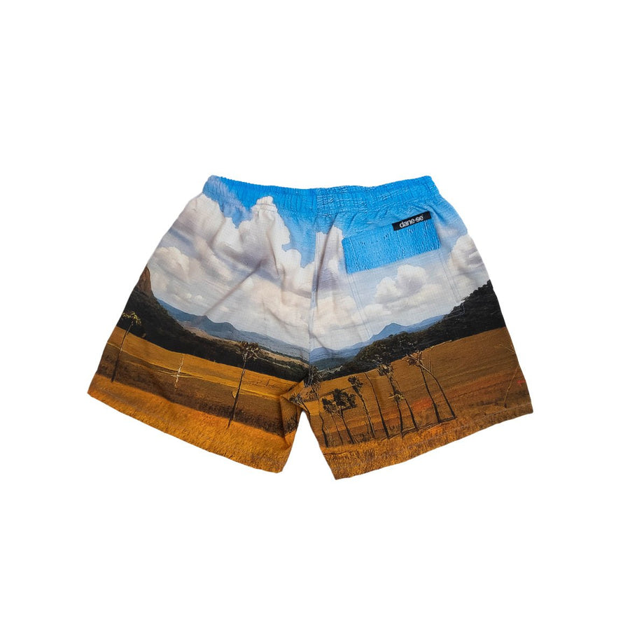 Vista lateral Shorts Tactel Dane-se Cerrado Estampado Azul